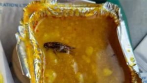 cockroach in food