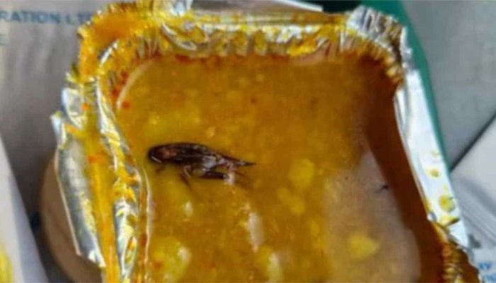 cockroach in food