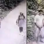 video viral