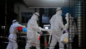 nipah virus
