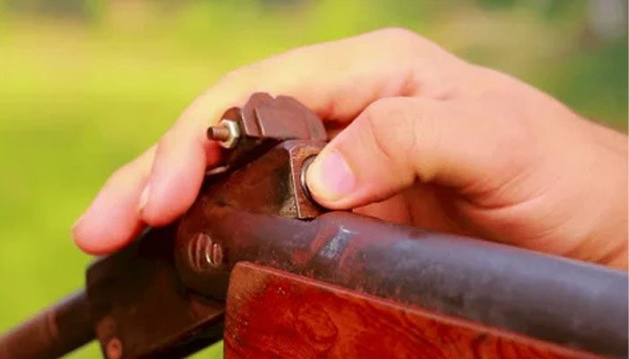 gun