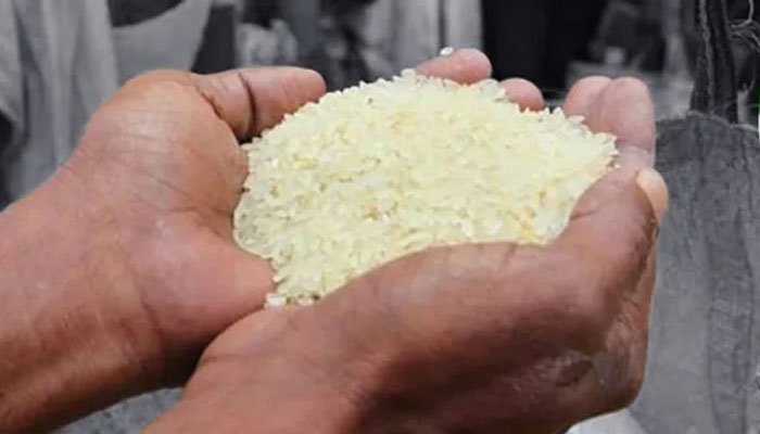 restion rice