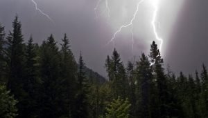 weather