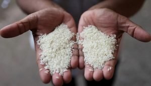 bharat rice