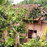 kalasa