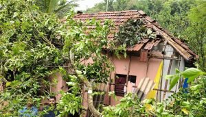 kalasa