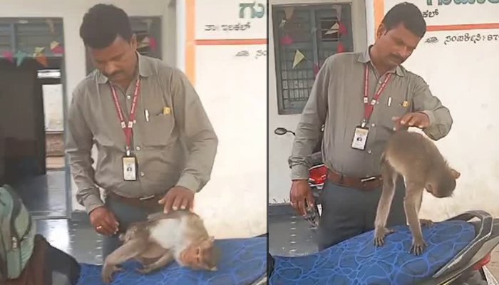 monkey visits hospital