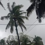 rain