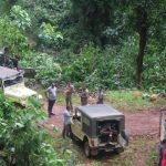 forest department