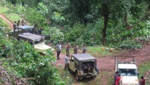 forest department