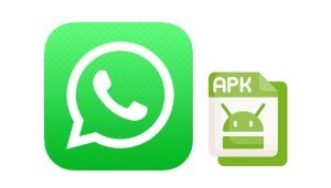 apk file in whatsapp