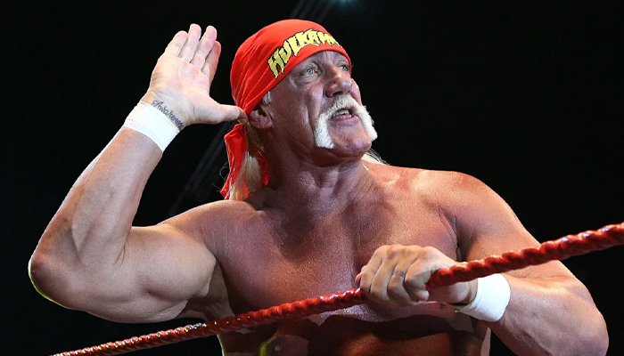 hulk hogan
