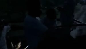 tiger safari horror