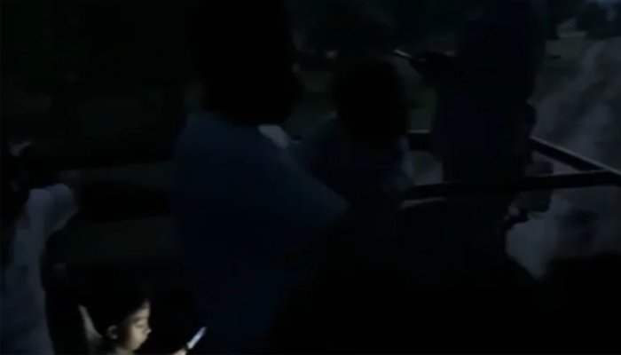 tiger safari horror