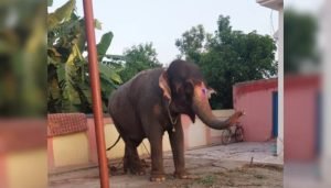 jayamati