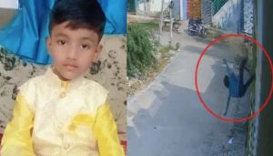 mohammed harris koppal