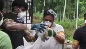 nipah virus alert