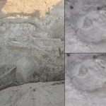 ancient human remains