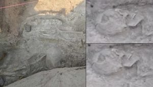 ancient human remains