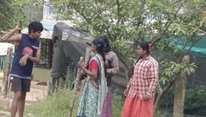 sambar fight