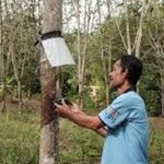 rubber taping
