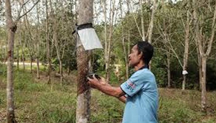 rubber taping