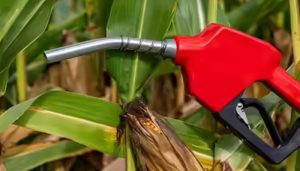 e20 fuel