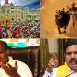 dasara vs kambala.jpg