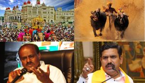 dasara vs kambala.jpg