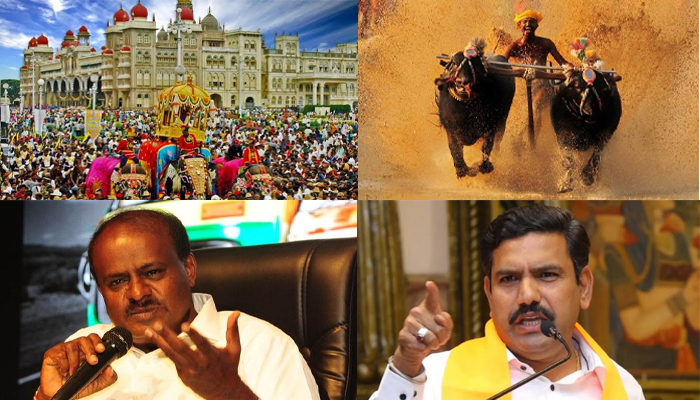 dasara vs kambala.jpg