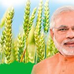 fasal bima crop insurance