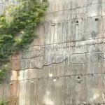 shringeri.jpg